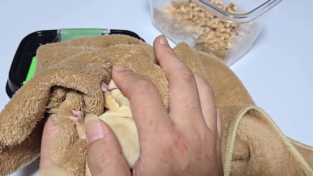 かなり落ち着いてきたようです