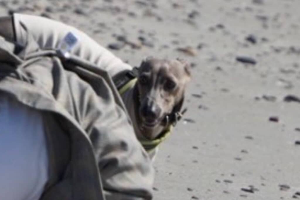 心配そうな表情