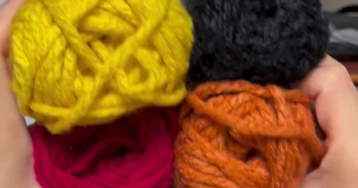 2年ぶりのディズニーに合わせて、セリアの4色の毛糸を使って編んだのは……「可愛すぎるうう！」「ほんとすごい」（1/3） | ライフスタイル ねとらぼ