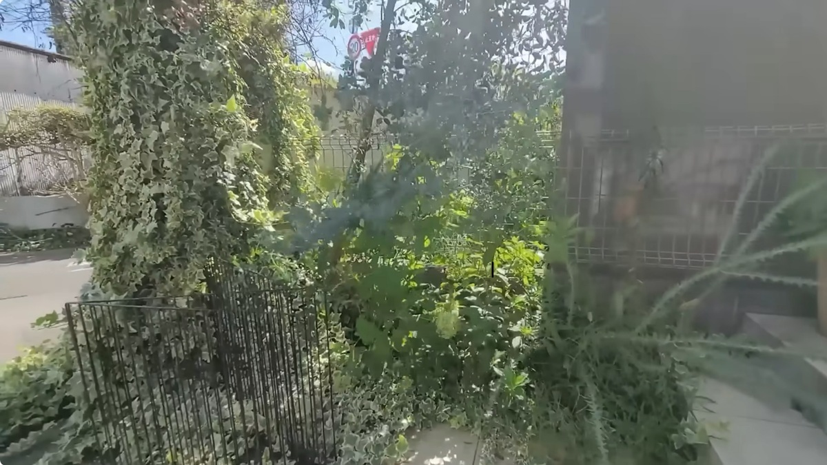 ズボラ主婦が築17年建売のボサボサ庭を手入れして3年後……　「凄過ぎます 尊敬しかない」「プロ以上のセンス良さに感動」（2/3） | リフォーム・リノベーション・DIY ねとらぼ