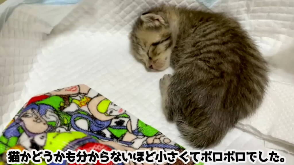 初めて出会った日