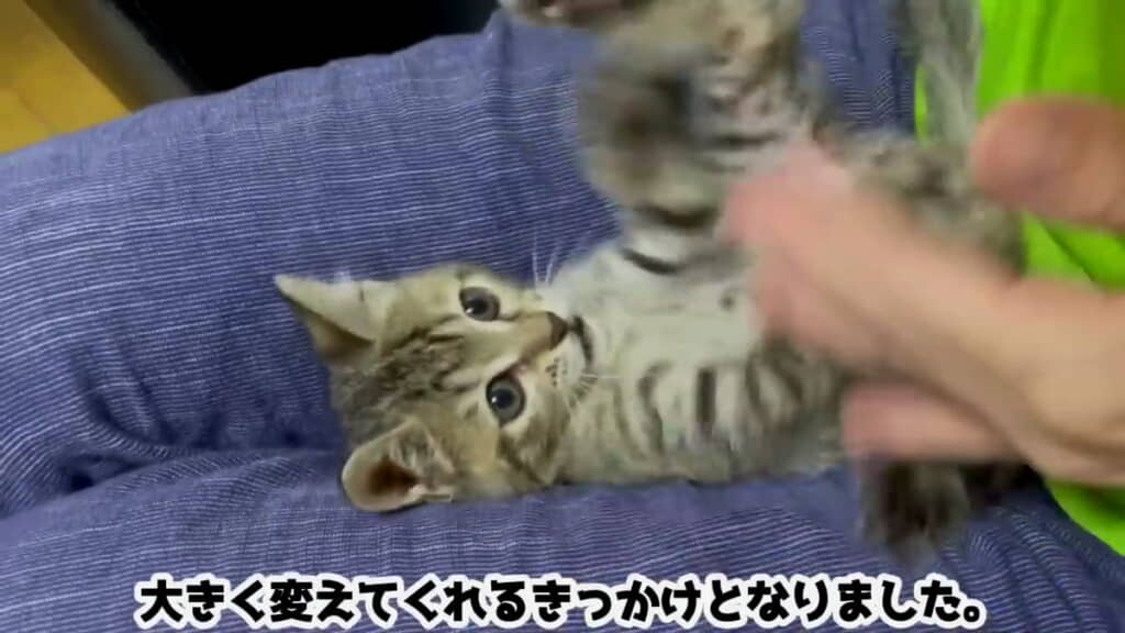 いろんなことを教えてくれるあめちゃん
