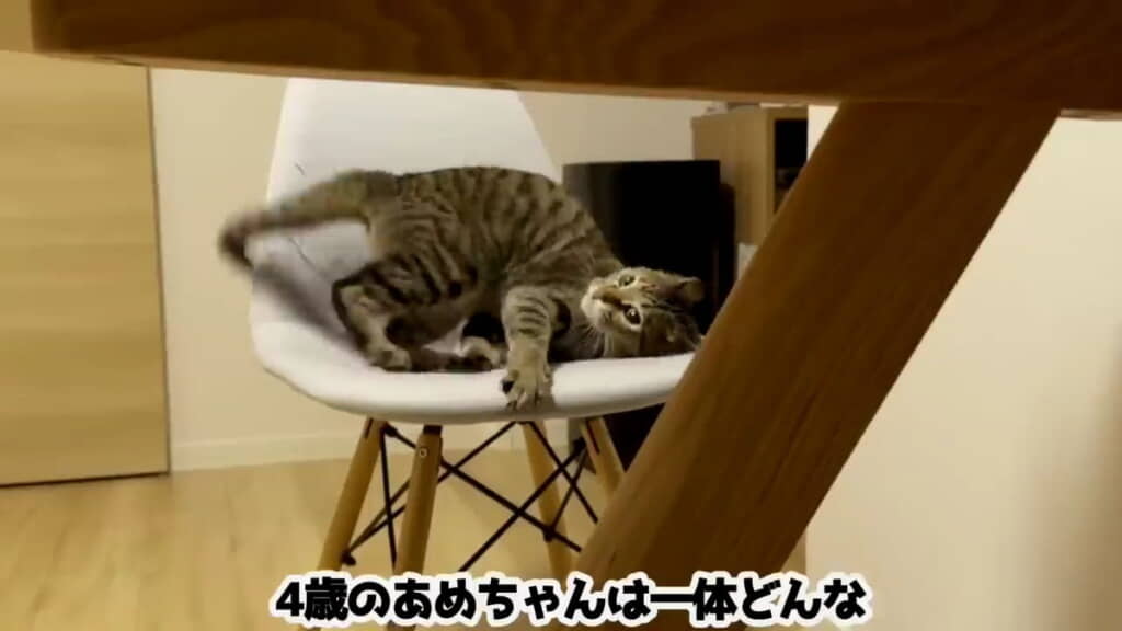 4歳おめでとう！