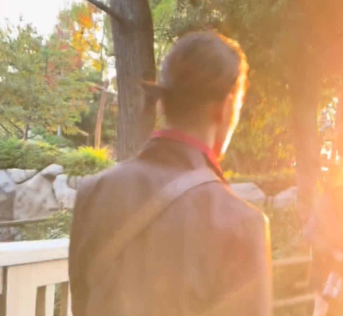 ディズニーで“顔が濃すぎる彼氏”が振り向くと……「めちゃくちゃイケメンwww」　衝撃の姿が162万再生「サインもらいに行っちゃうかも」（1/3） | ライフスタイル ねとらぼ