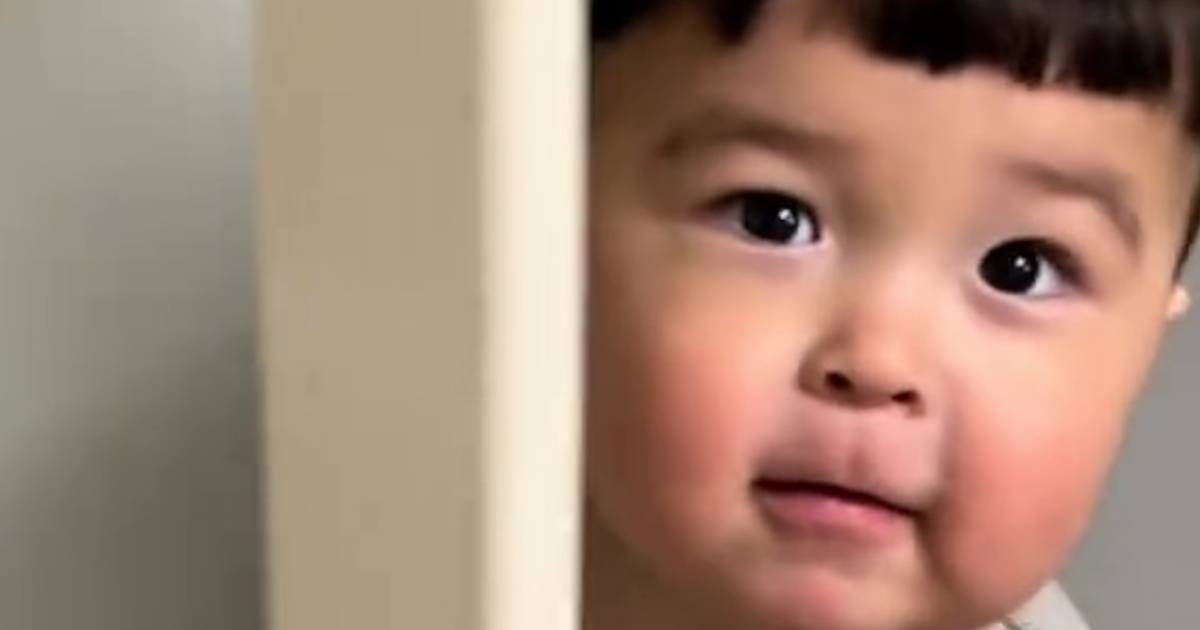 2歳息子の全力かくれんぼ→ママが探すと……　250万再生の“ピュアすぎる光景”に「こびとづかんにいそう」「めっちゃいるwww」（1/3） | 育児 ねとらぼ