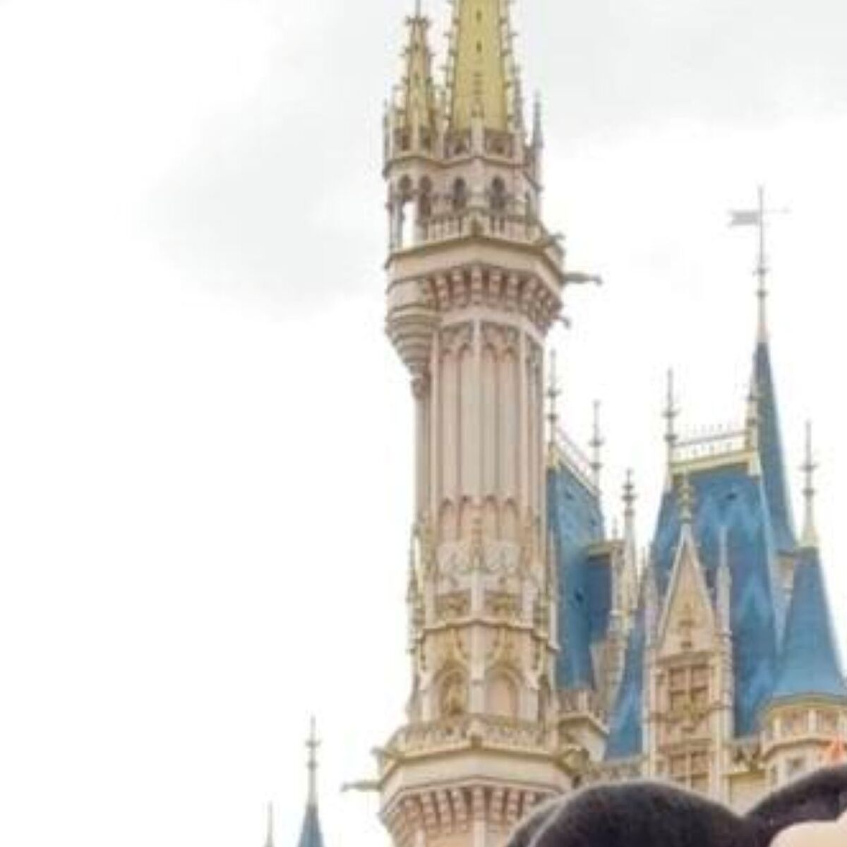 83歳じいじ＆孫娘が人生初ディズニーで……　まさかの格好に「涙出てきた」「こういうの憧れる」と376万再生 | ディズニー ねとらぼ