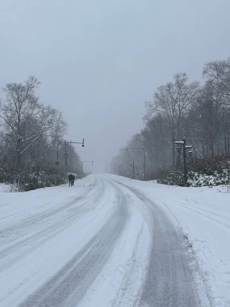 冬が始まりましたね