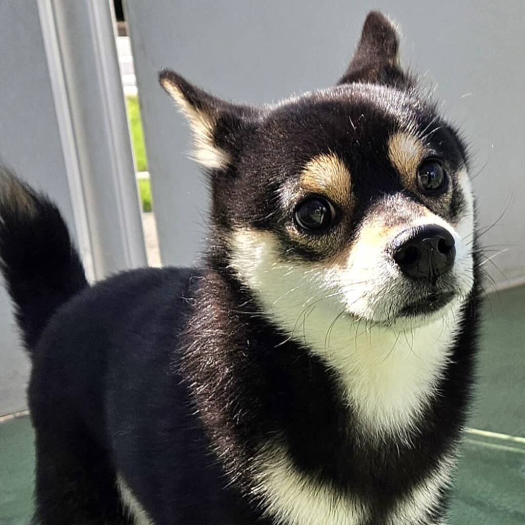 ホテルから届いた写真