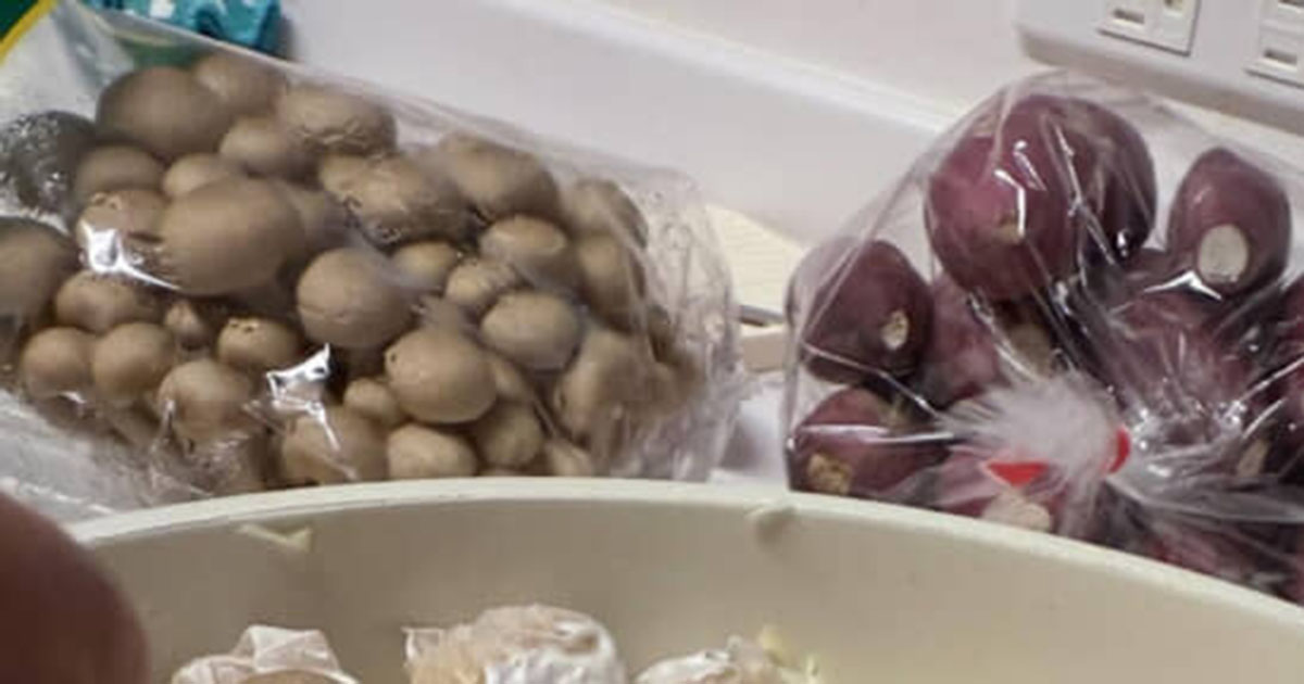 2歳娘のお手伝い→ママが「きのこ並べて」と頼んだら……　予想を裏切る“まさかの光景”に爆笑「芸術の秋ですね」（1/4） | 育児 ねとらぼ