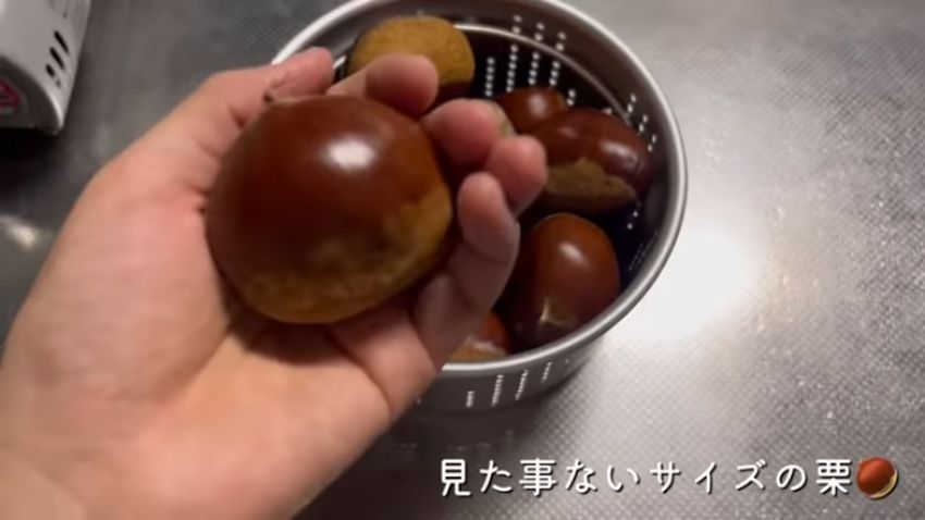 もらい物の大きな栗