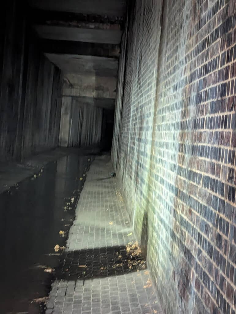 子猫が落ちた排水溝