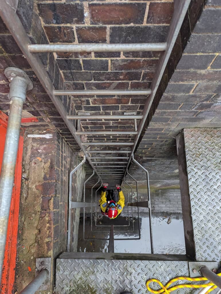 子猫の救助に駆け付けたRSPCA職員