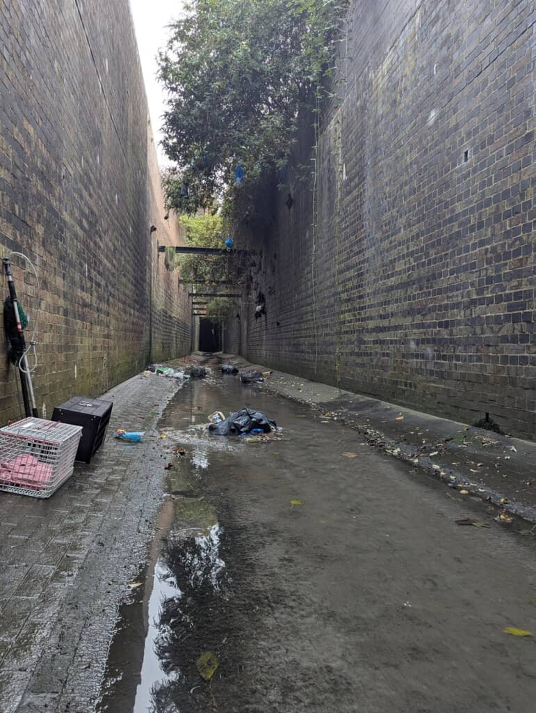 子猫を救助するためにケージを設置