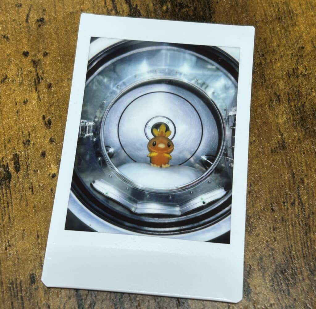 か、かわいい……