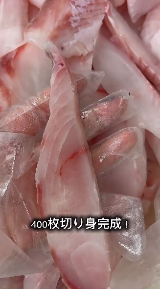 400枚の切り身に