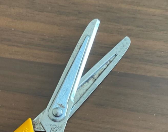 幼稚園のころから使ってたハサミ