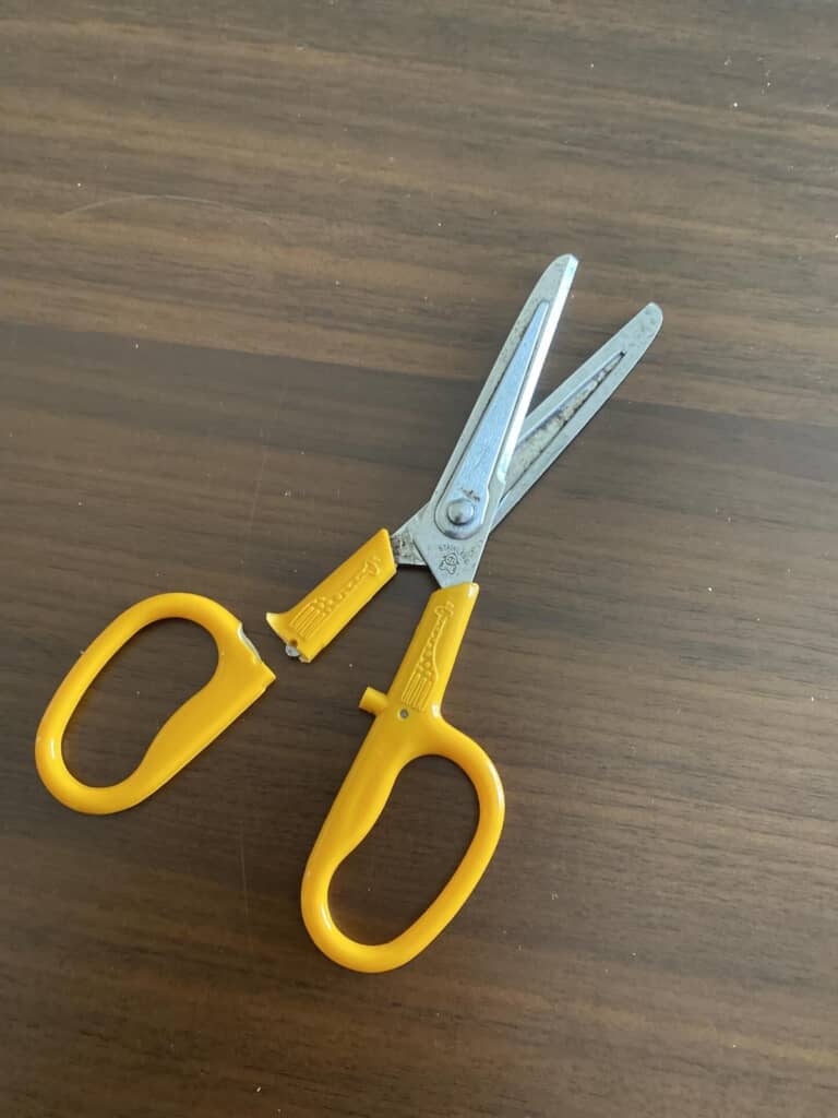 寿命を迎えた姿