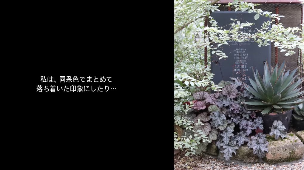 同系色でまとめてもすてき