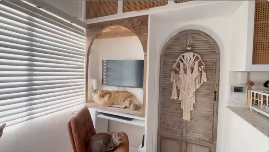 猫ちゃんたちもくつろぎやすい？