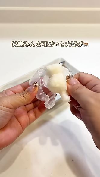 ダイソーの「大根おろしニャン」で猫おろしに