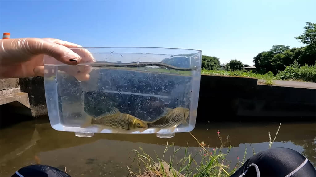 2匹はリリースし、次のスポットへ