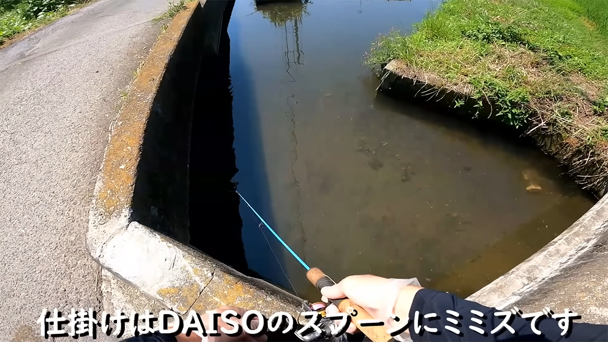 「この川は終わりですね」肉食魚だらけの川に現れた“まさかのヤバい奴”に「すさまじい」「強いなぁ」（1/3） | その他生き物 ねとらぼ