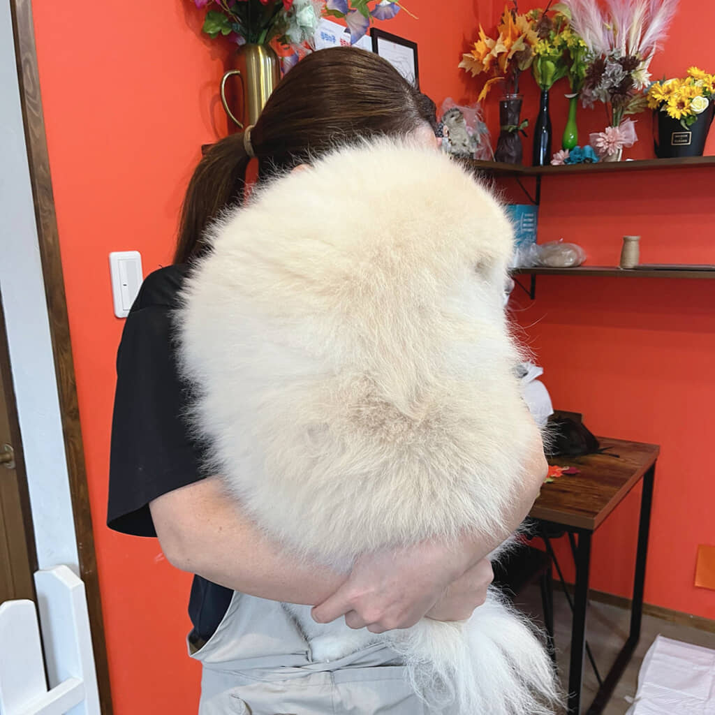 何か持っていると思ったら……