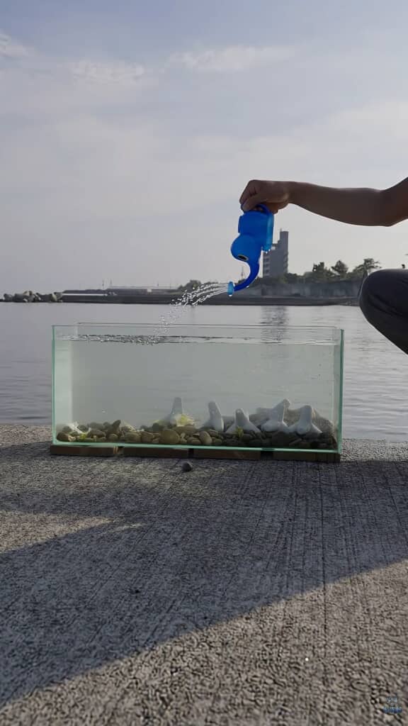 石やミニチュアの消波ブロックが入っている水槽に海水を入れる