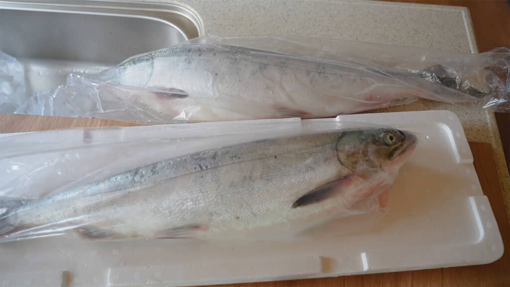 いただきものの秋鮭をさばきます