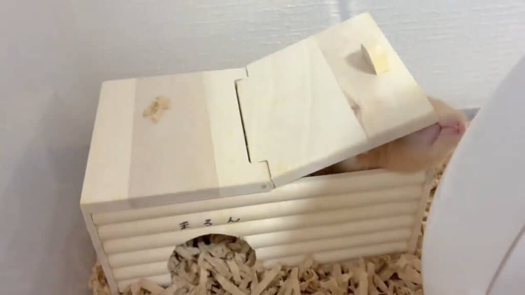 ハウスのフタを大胆に開ける姿が