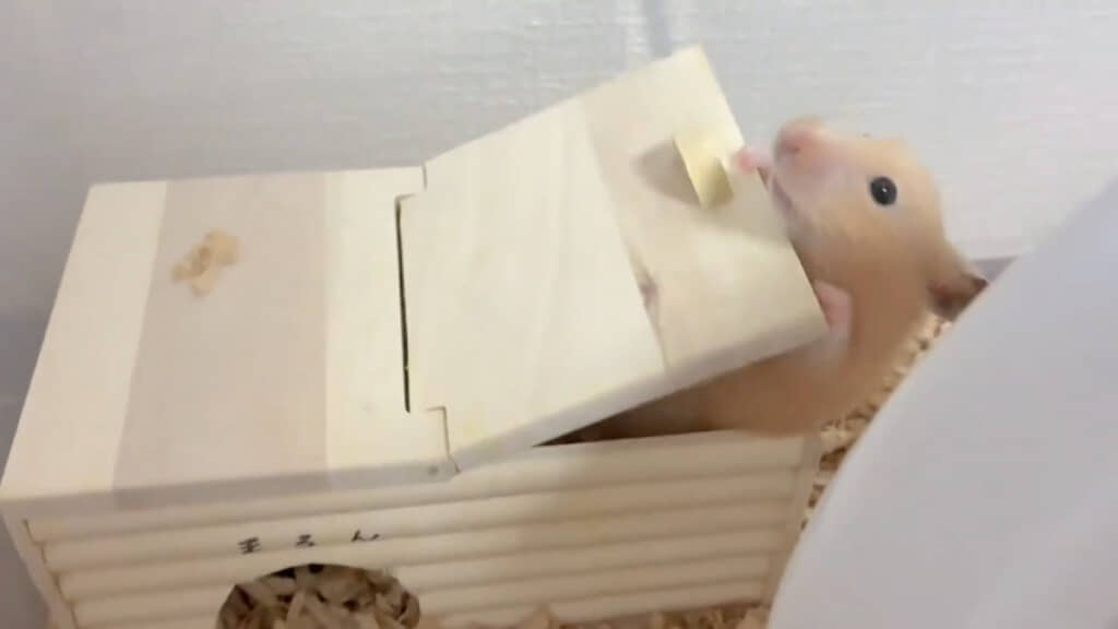 すき間から器用に体を出すと……