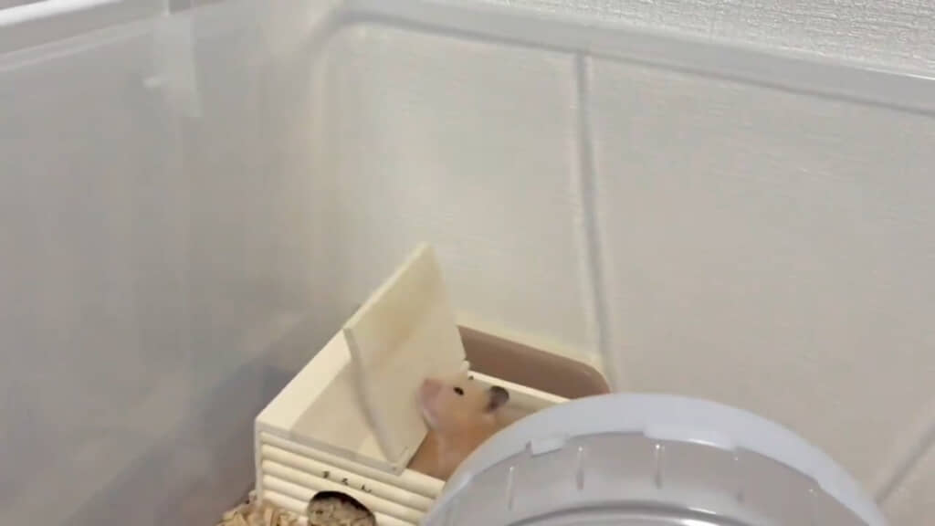 フタを開けるのにも慣れた様子