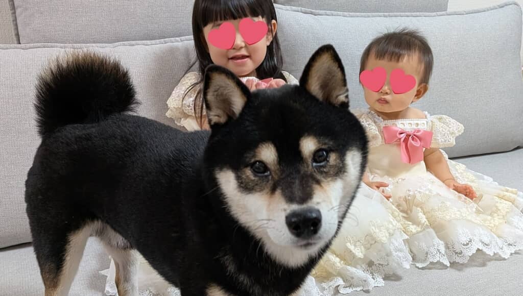 ドレス姿の2人を差し置いて写真に写りたいおはぎくん