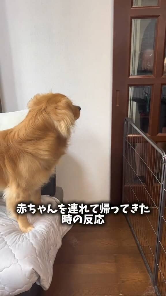 お父さんまだかなー