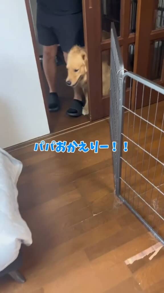 帰ってきた！　おかえりー!!