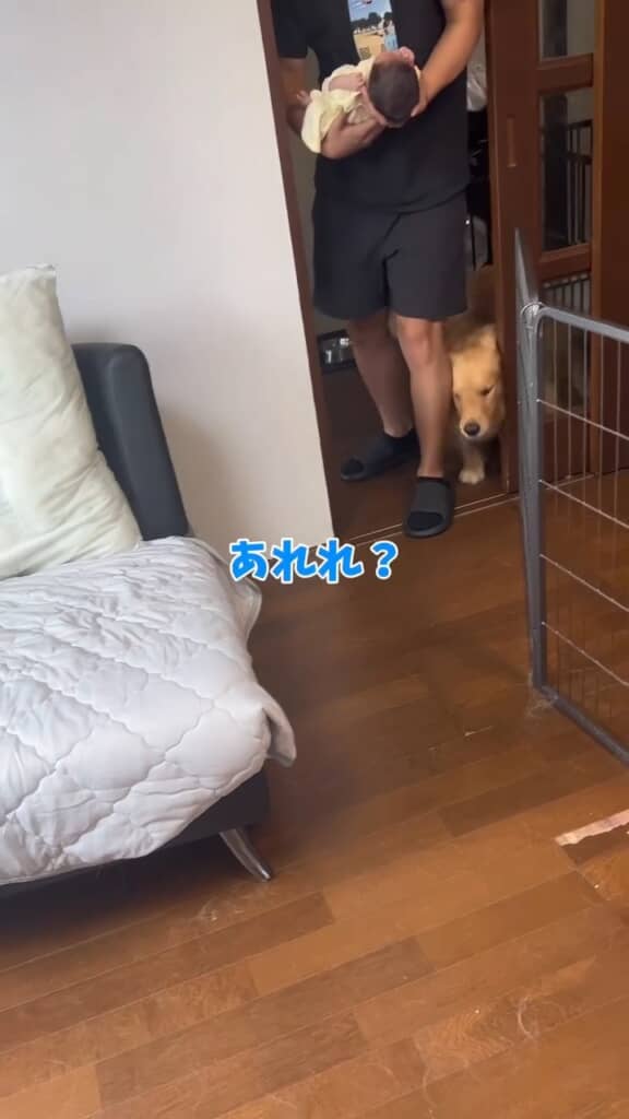 あれ、お父さん何か持ってる？