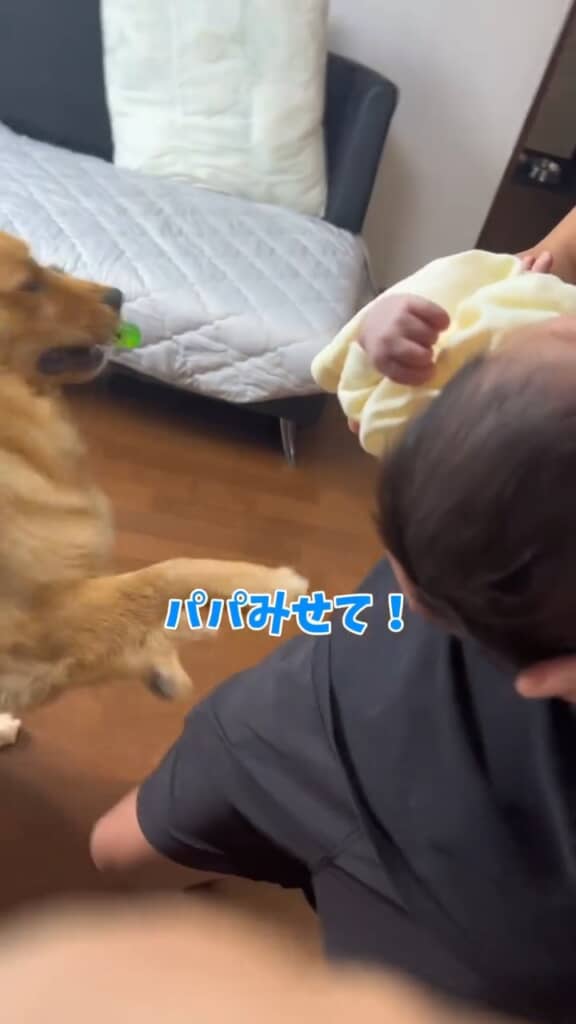 新しいおもちゃかな？　見せて見せて～