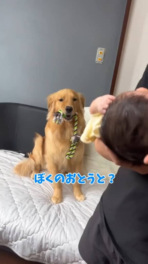 えっ違う？　新しい家族？