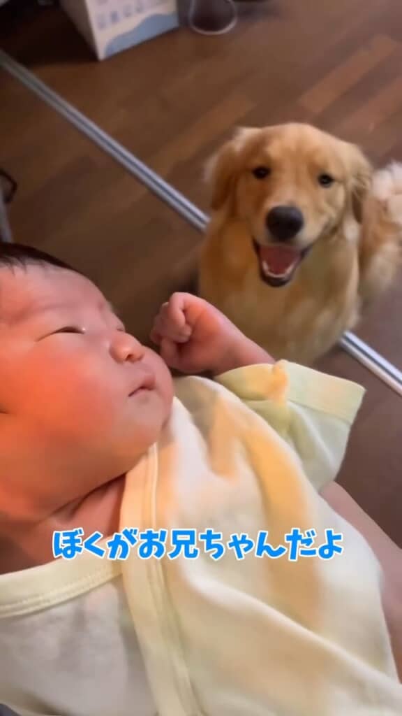 僕がお兄ちゃん！