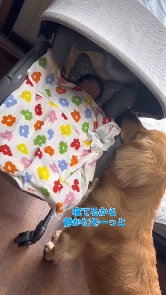 起こさないよう、静かにね