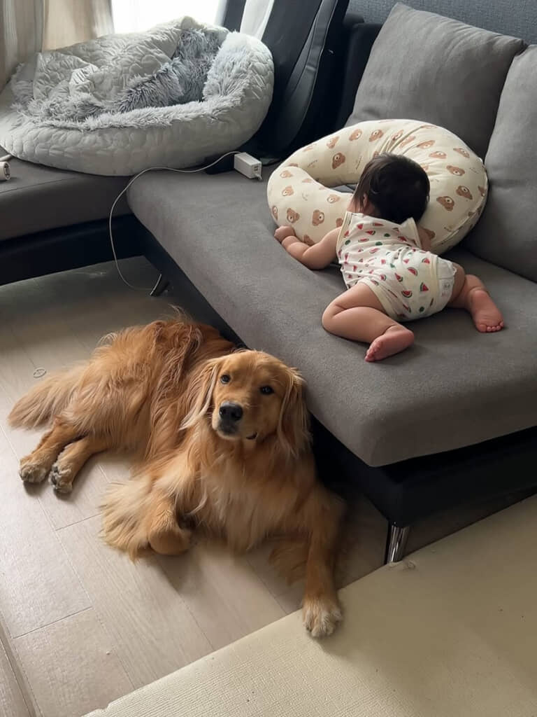 仲良く寝そべる兄弟