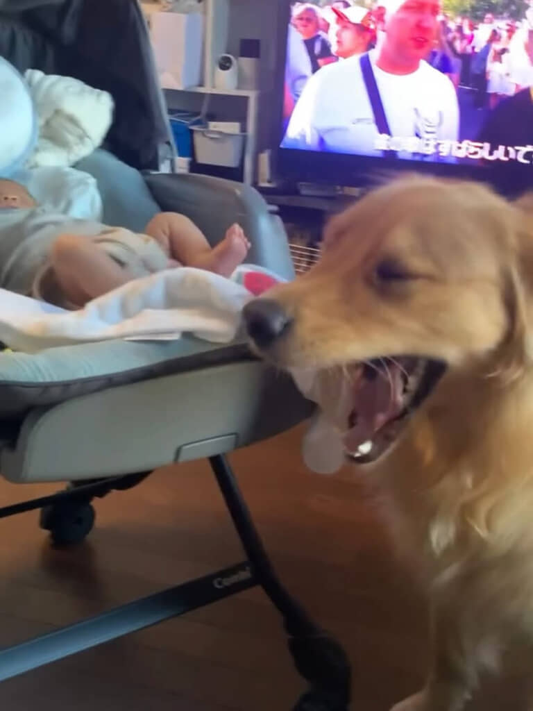 おむつをチェックしたら“当たり”だったもよう