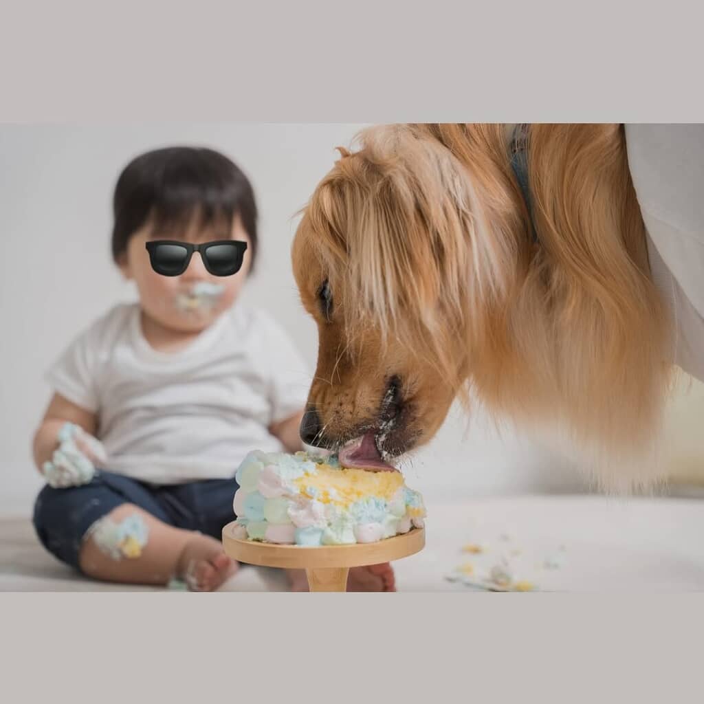 兄弟で祝った誕生日