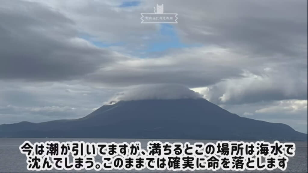 このまま放置すると命の危険が