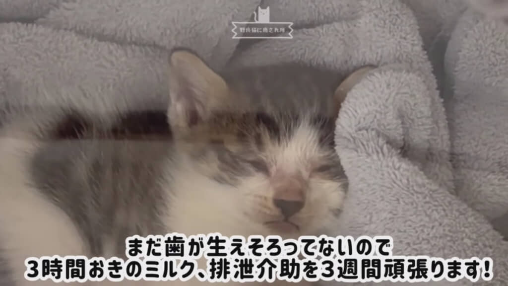 ちょっとずつ元気になれるように