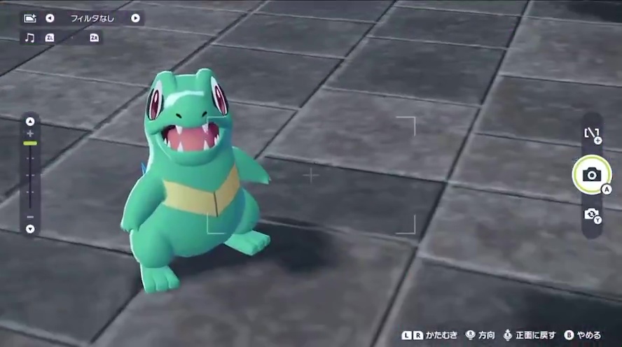 ワニノコがカメラを見つめているところ