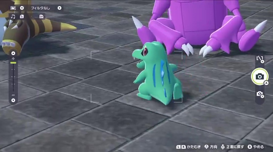 後ろを向いて歩きながらも、カメラの方を見続けるワニノコ