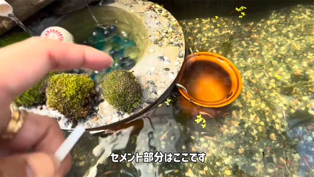 コンクリートと水の接地面が多い「和風ビオトープ」