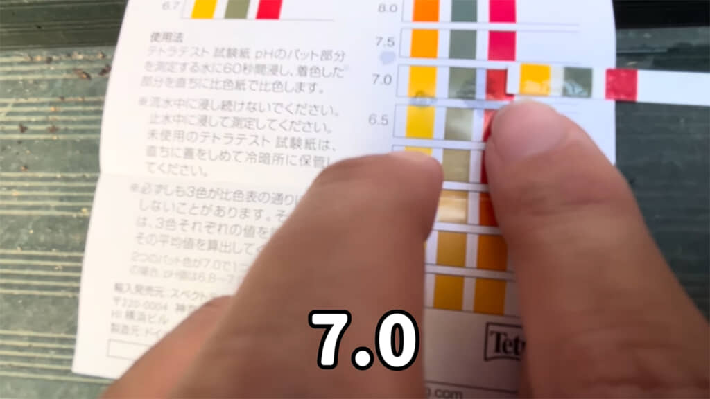 和風ビオトープのpHも基準値内でした