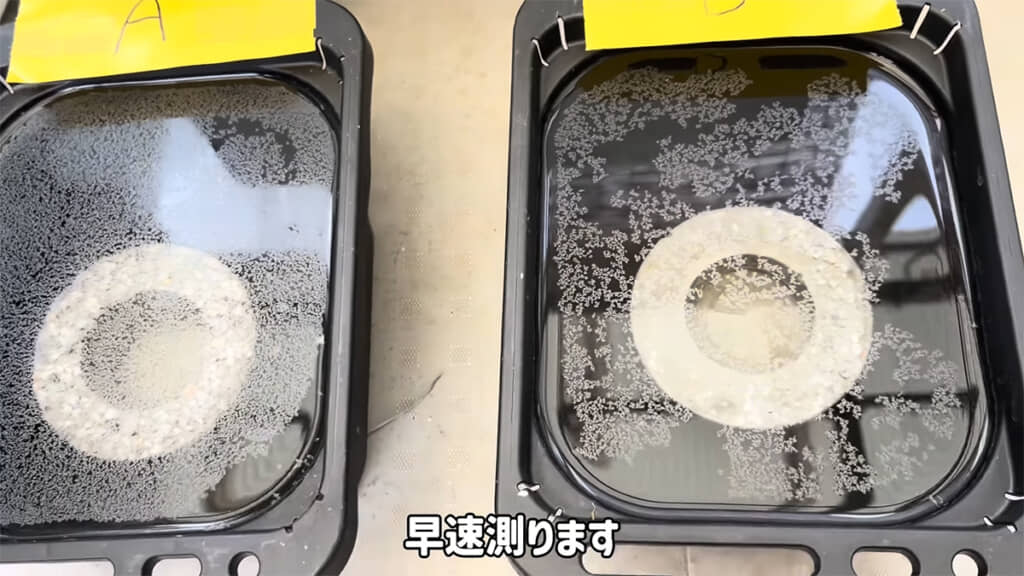 翌日、水面には油膜のようなものが